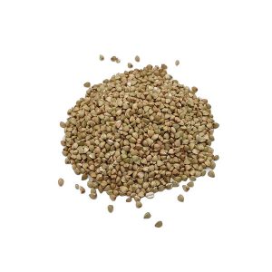 grano-trigo-sarraceno- Graneria Moreneta