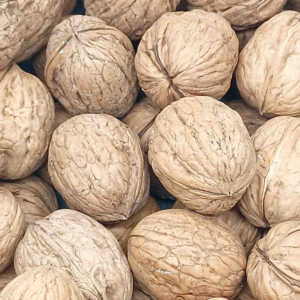 Nueces con cáscara | chile