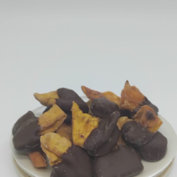 Mango deshidratado con chocolate ECO