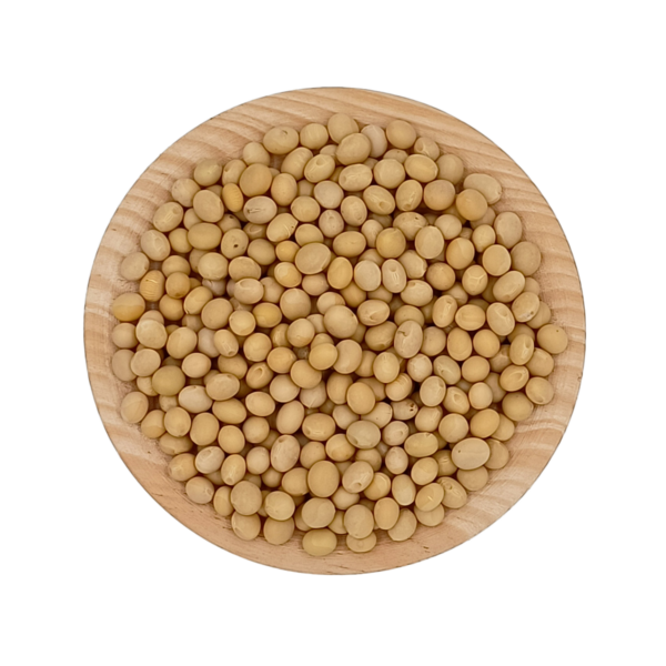 Soja Blanca