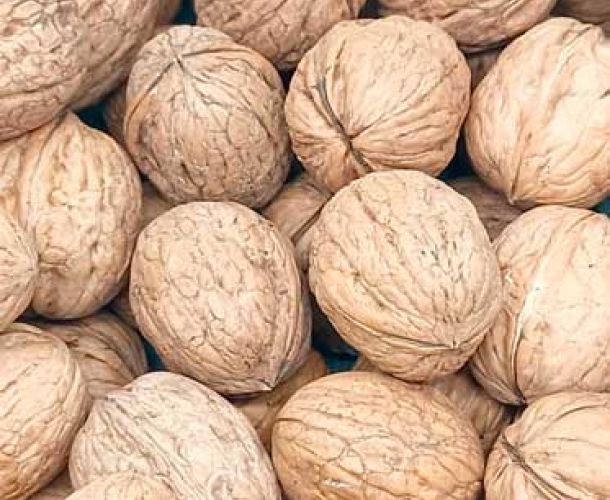 Nuez con cáscara del país | Graneria Moreneta