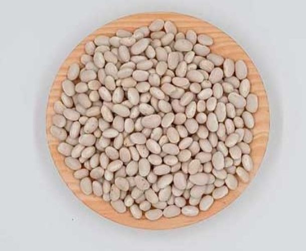 Mongeta Santa Pau | Graneria Moreneta