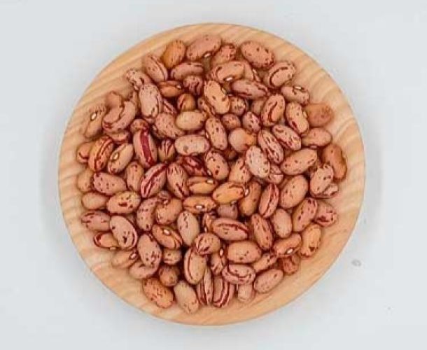 Mongeta Pinta | Graneria Moreneta.